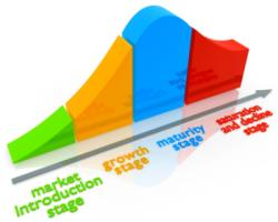 Пример жизненного цикла товара.