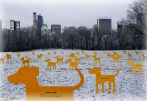 Рекламные объявления на собаках.