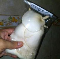 Расчет рентабельности выращивания вешенки.