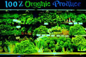 Тепличная зелень приносит стабильный доход.