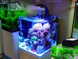 Нано-аквариумы в ассортименте.