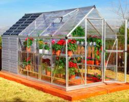 Секреты выращивания роз.