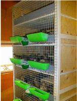 Самодельная клетка для перепелов.