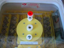 Вентелируемый инкубатор для яиц умеет отправлять SMS.