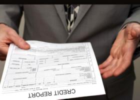 Отчет о кредитных формах и их характеристиках.