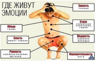 Мемы хорошо запоминаются.