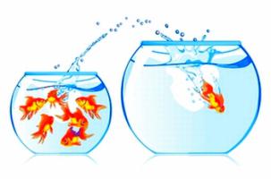 Управление финансами малого бизнеса.