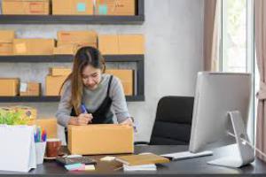 Домашний бизнес - Владелец интернет-магазина